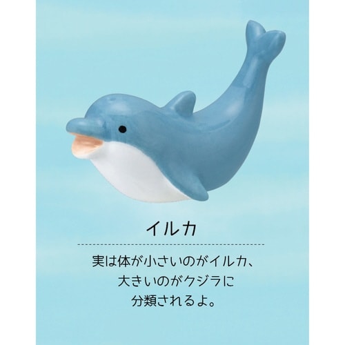 箸置き るんるんまりん 陶器 イルカ