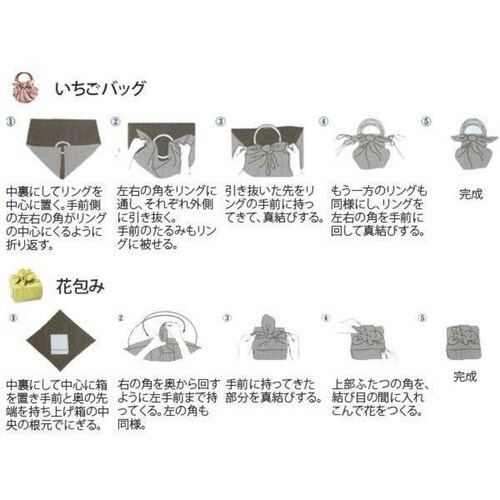 風呂敷 モダンガール 70cm 綿100% 梅
