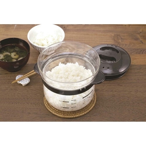 ハリオ 電子レンジ用炊飯器 1から2合