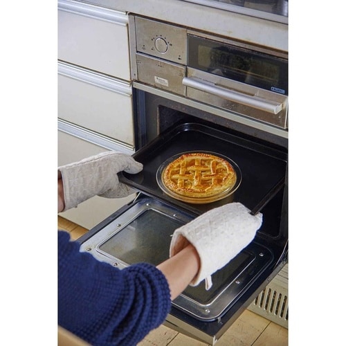 ハリオ パイ皿 20cm 耐熱ガラス