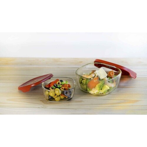 ハリオ 保存容器 250ml 600ml レッド