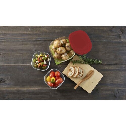 ハリオ 保存容器 250ml 600ml レッド