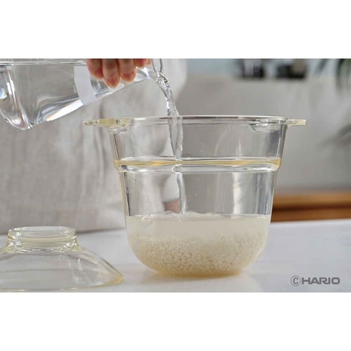 ハリオ 電子レンジ炊飯器 1合 ガラス製 一膳屋