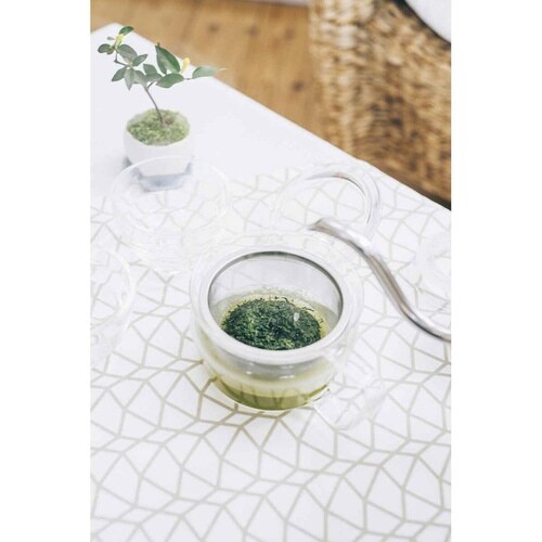 ハリオ 茶茶急須 禅 300ml 耐熱ガラス