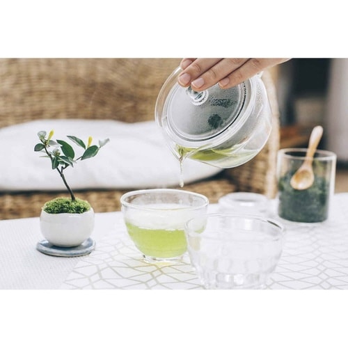 ハリオ 茶茶急須 禅 300ml 耐熱ガラス