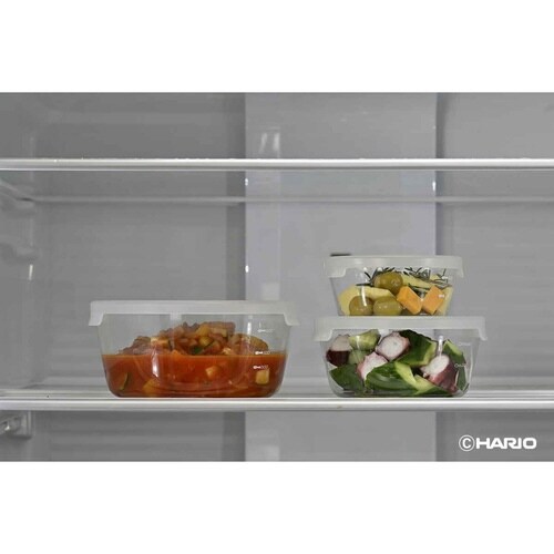 ハリオ 保存容器 600ml 耐熱ガラス製保存容器