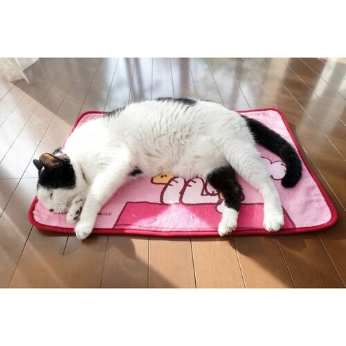 マルチマット スヌーピー 洗面マット ハウス