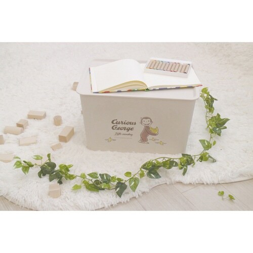 収納ボックス 幅38×奥行27×高さ24cm