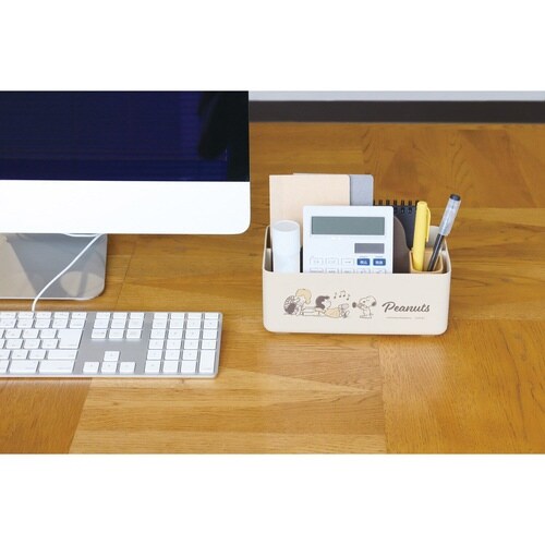 収納ボックス ミニモッテケース ブラウン