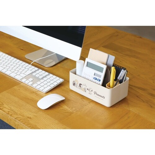 収納ボックス ミニモッテケース ブラウン