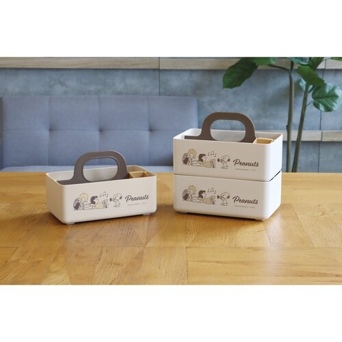 収納ボックス ミニモッテケース ブラウン