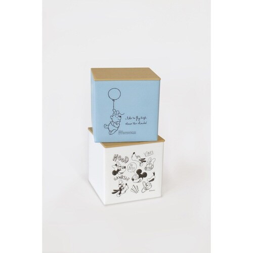 箱型ティッシュケース ミッキーマウス フタ付