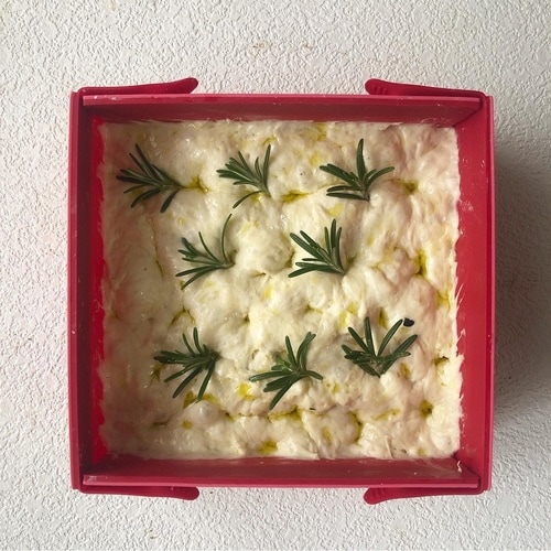 ケーキ型 coox 洗いやすい レッド