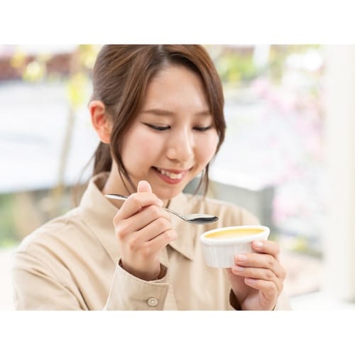 デザートスプーン 14cm TSUBAME