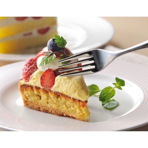 フォーク 17.5cm TSUBAME