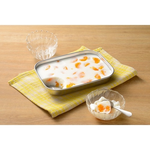 保存容器 ステンレス 保存バット 大サイズ 蓋付き