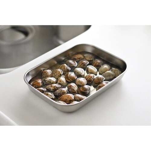 保存容器 ステンレス 保存バット 大サイズ 蓋付き