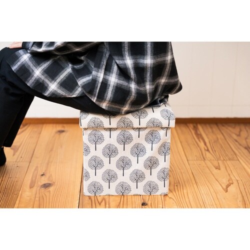 収納ボックス デイツリー