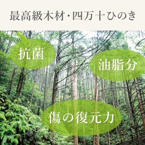 まな板 13×22cm STYLE JAPAN