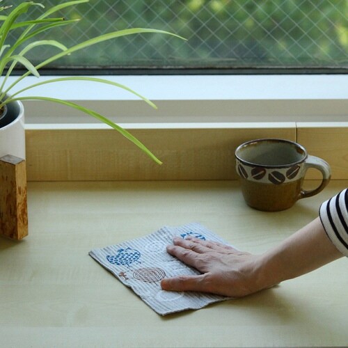 ふきん e.スポンジワイプ レーナ コトリ