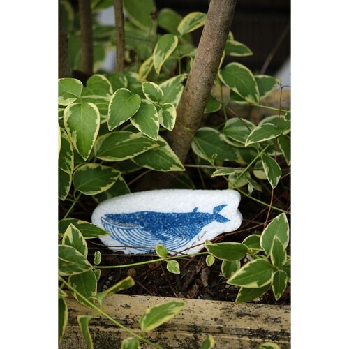 キッチンスポンジ e.ポップアップスポンジ クジラ