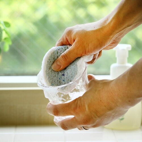 キッチンスポンジ e.ポップアップスポンジ クマ