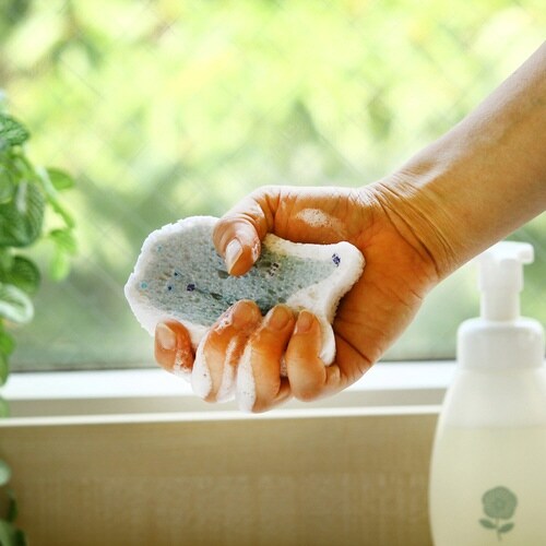 キッチンスポンジ e.ポップアップスポンジ クマ