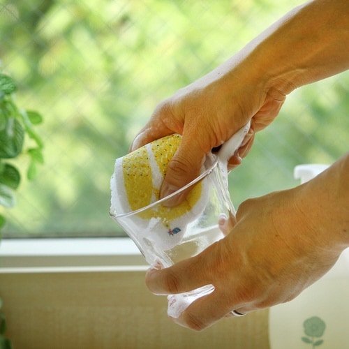 キッチンスポンジ e.ポップアップスポンジ カモメ