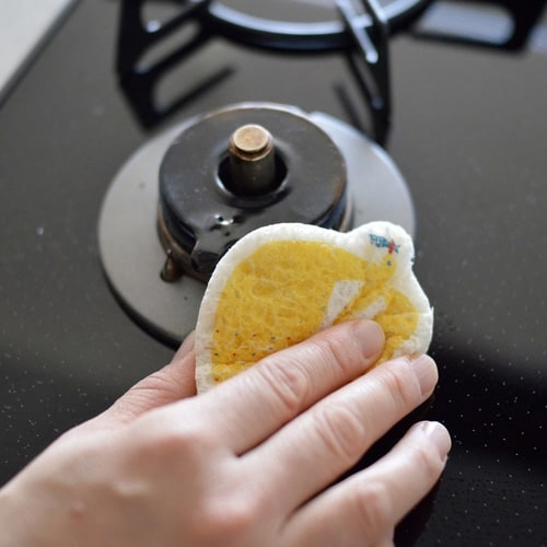 キッチンスポンジ e.ポップアップスポンジ カモメ