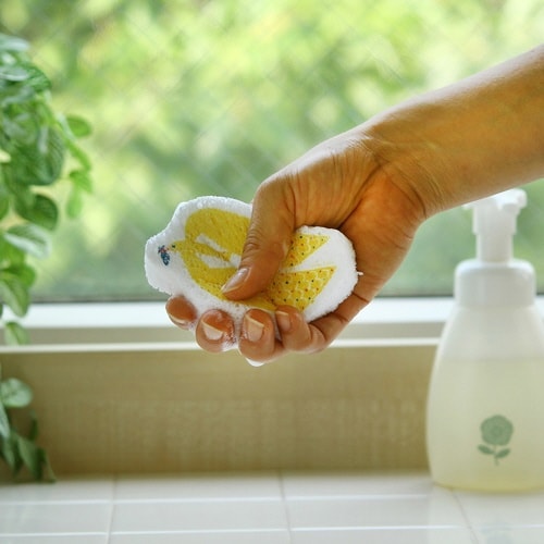 キッチンスポンジ e.ポップアップスポンジ カモメ