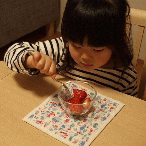 ふきん e.スポンジワイプ ムーミン ブルー1