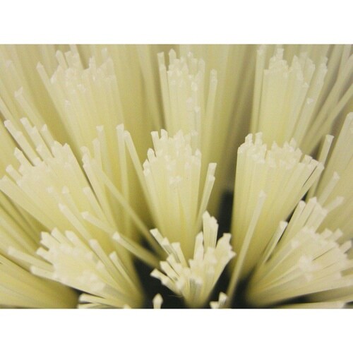 ブラシ 道具洗いブラシ ハンディ