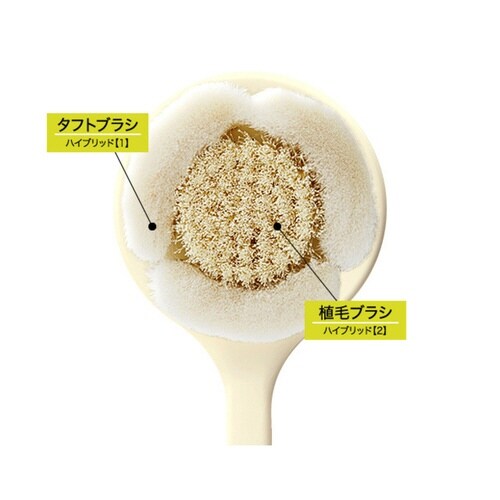 ボディブラシ ボディケアブラシ ピンク