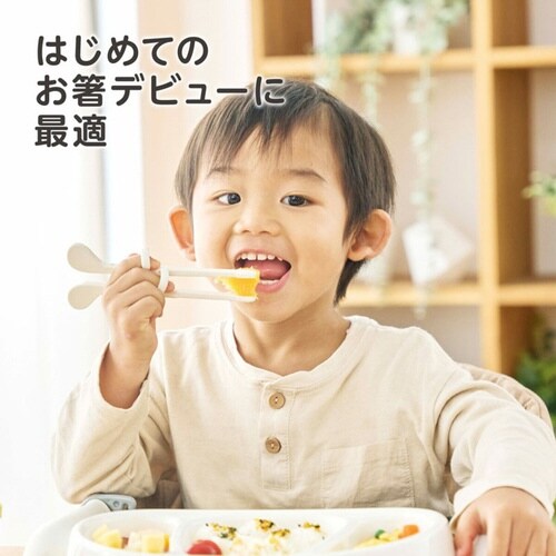 箸 エジソンのお箸 mini 右手用 シナぷしゅ