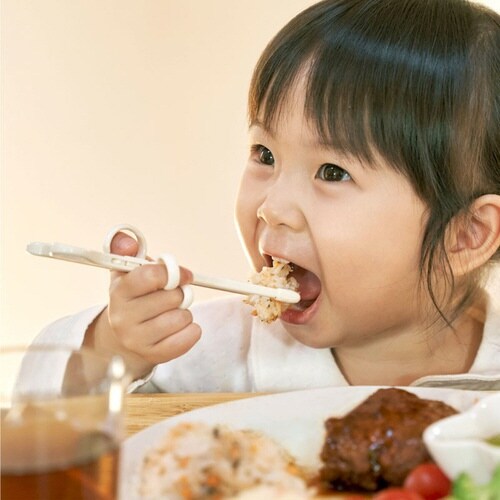 箸 エジソンのお箸 mini 右手用 ミッフィー