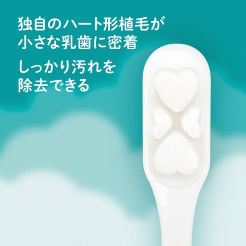 歯ブラシ 仕上げ歯ブラシ プレミアム すごふわ