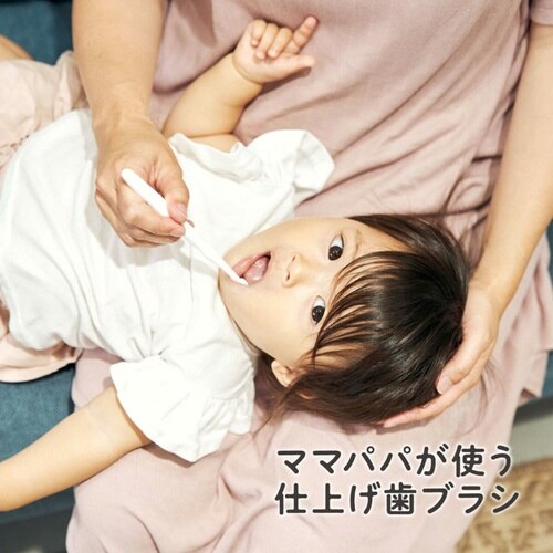 歯ブラシ 仕上げ歯ブラシ 2本入り 6ヶ月から