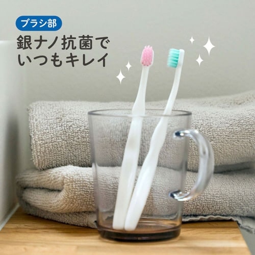 歯ブラシ 仕上げ歯ブラシ 2本入り 6ヶ月から