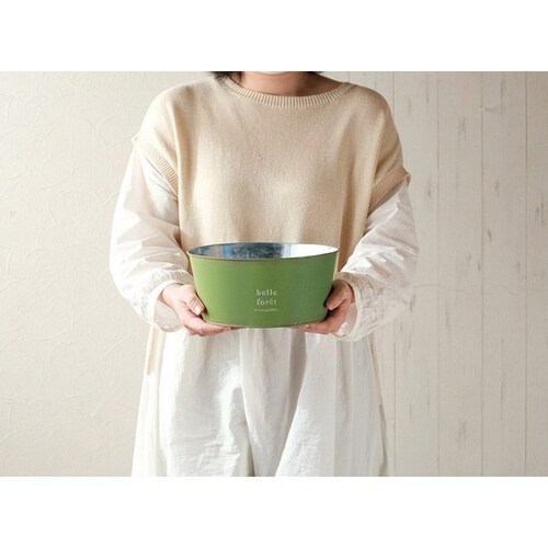 植木鉢 ハウスプランツブリキ グリーン