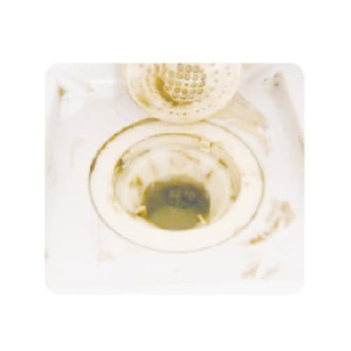 排水口 除菌剤 20個入 ヨードとアワでクリーン