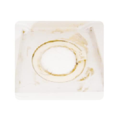 排水口 除菌剤 20個入 ヨードとアワでクリーン