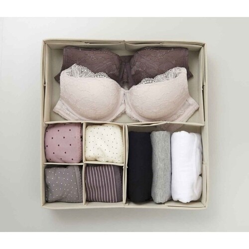 収納ボックス 仕切りが動く収納ボックス L