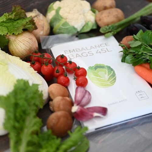 EMBALANCE 保存袋 45L