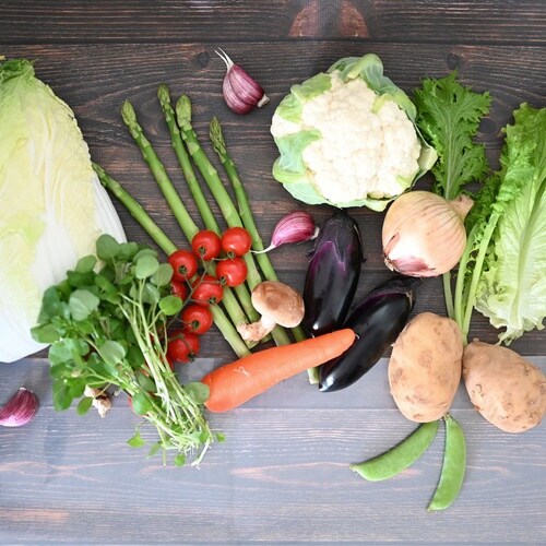 EMBALANCE 保存袋 45L