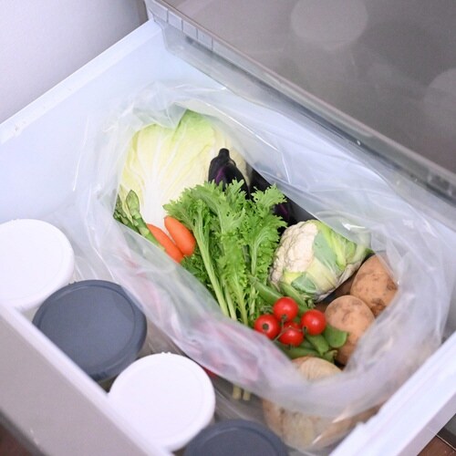 EMBALANCE 保存袋 45L