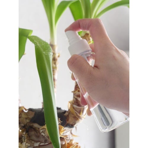 スプレーボトル 100ml エンバランス 日本製