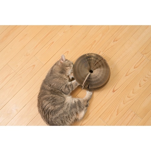 爪とぎ ドーナツ型爪とぎ ダンボール おもちゃ