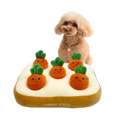 ノーズワーク にんじん 肉 犬 おもちゃ ニンジン