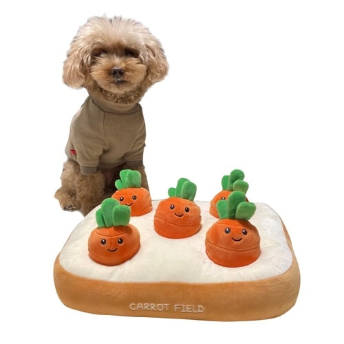 ノーズワーク にんじん 肉 犬 おもちゃ ニンジン