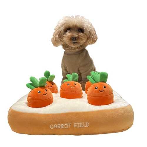 ノーズワーク にんじん 肉 犬 おもちゃ ニンジン